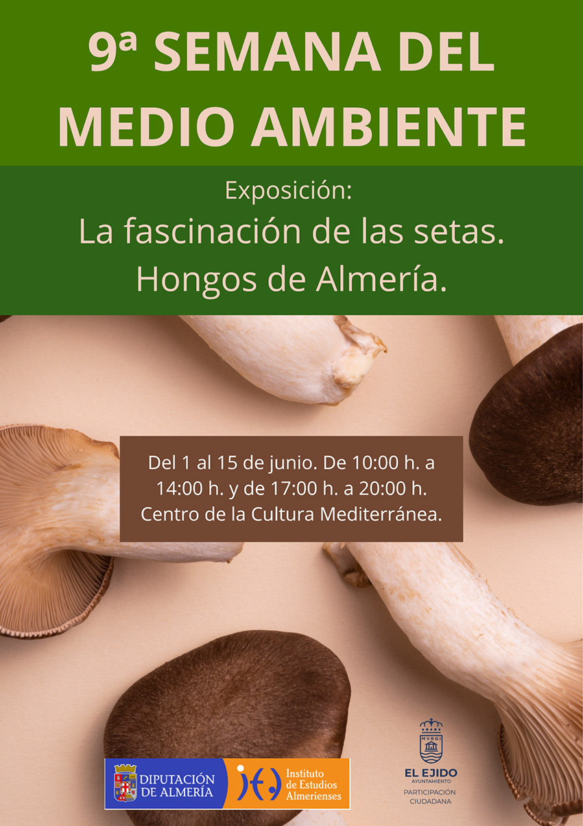 9ª Semana del Medio Ambiente – Exposición «La fascinación de las setas. Hongos de Almería – Del 1 al 15 de junio