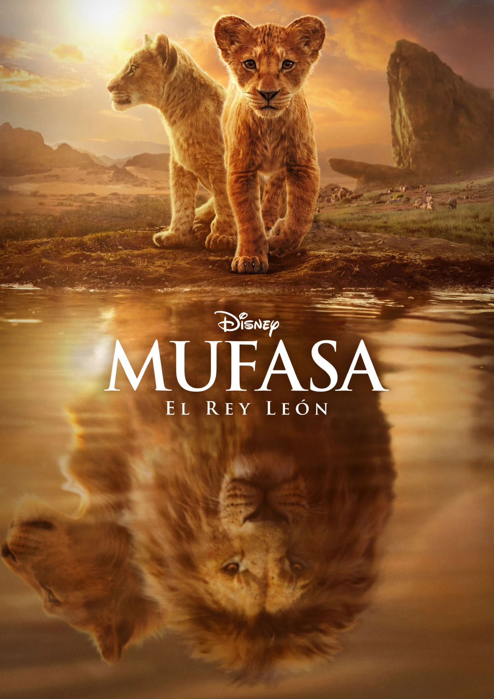 Verano Cultural 2026 – Cine «Mufasa: El rey león» – Almerimar – Martes 18 de agosto, Parque Brisamar 22 h
