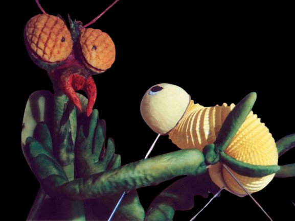 Verano Cultural El Ejido 2025 – Teatro en Guardias Viejas – Búho Teatro «¿Quién soy? de oruga a mariposa» – 16 de julio, 21:30 h
