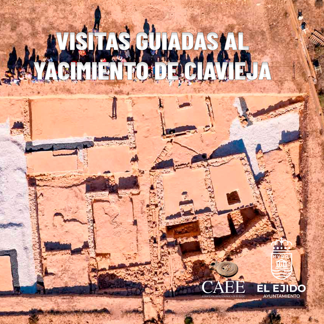 Visitas guiadas al Yacimiento de Ciavieja – Viernes, 22 de agosto, 19:30 h